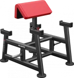 Atlantis Standing Preacher Curl